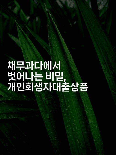 채무과다에서 벗어나는 비밀, 개인회생자대출상품-미슐링