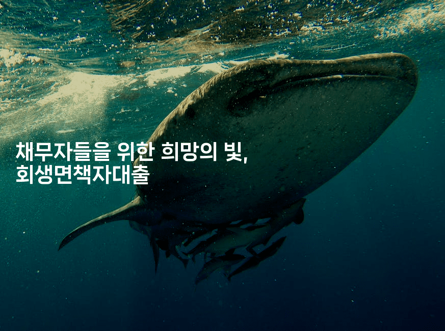 채무자들을 위한 희망의 빛, 회생면책자대출