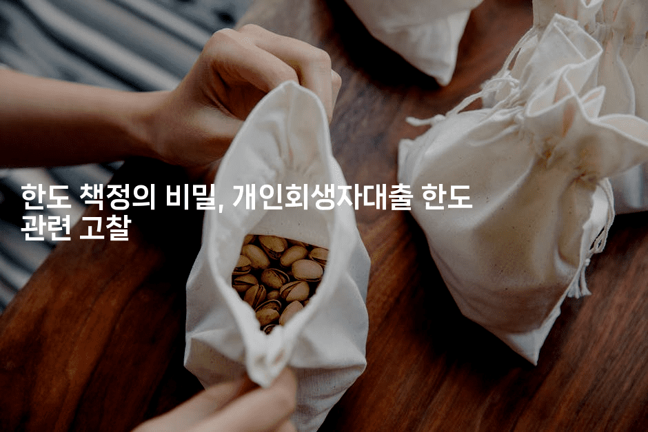 한도 책정의 비밀, 개인회생자대출 한도 관련 고찰-미슐링