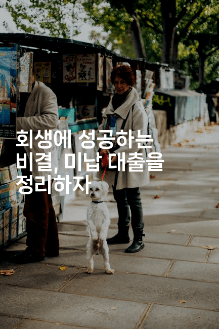 회생에 성공하는 비결, 미납 대출을 정리하자-미슐링